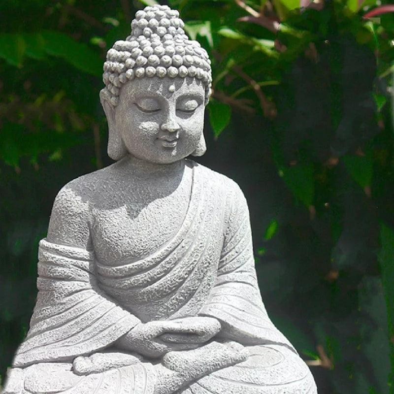 Buddha Garden - popbox